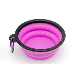 Collapsible Pet Feeder Bowl With Carabiner