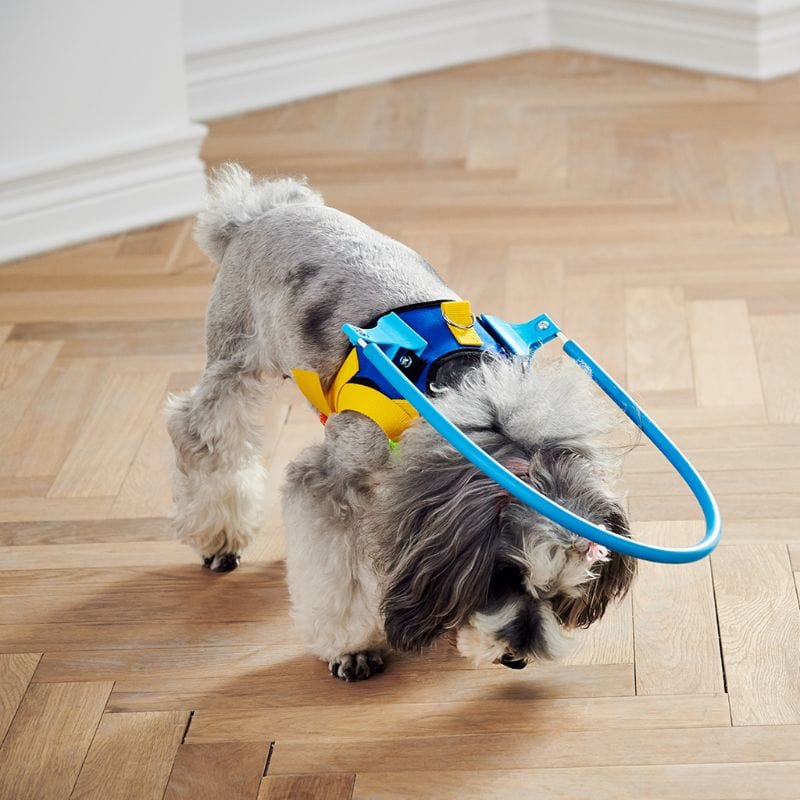Anti-Collision Ring Safe Harness for Blind Dogs