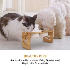 Elevated Pet Feeder Stand