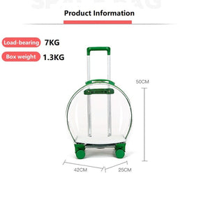 Transparent Pet Carrier
