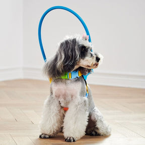 Anti-Collision Ring Safe Harness for Blind Dogs