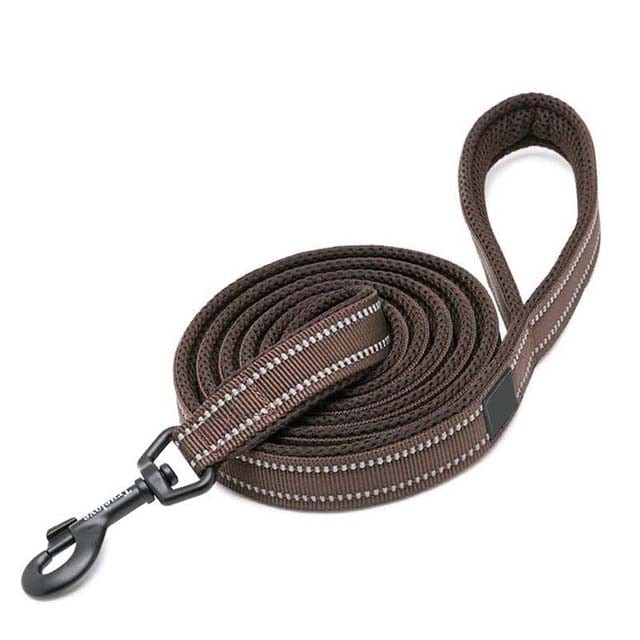 Adjustable Reflective Training Leash