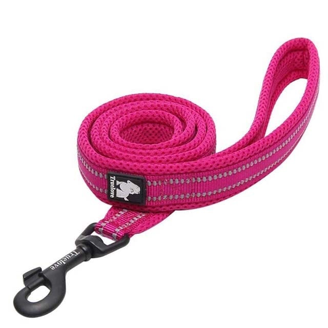Adjustable Reflective Training Leash