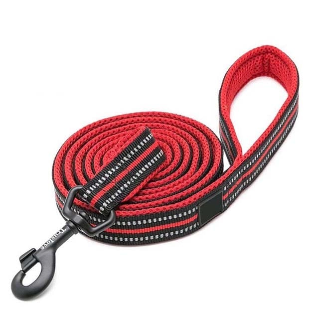 Adjustable Reflective Training Leash