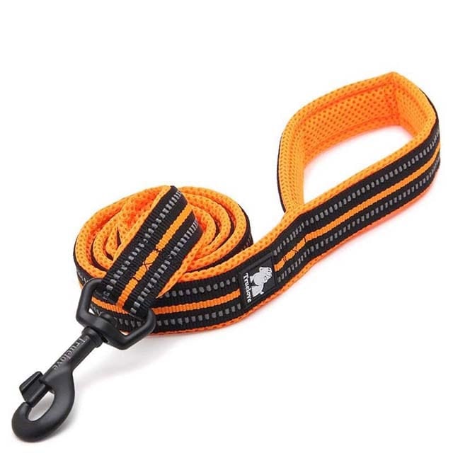 Adjustable Reflective Training Leash