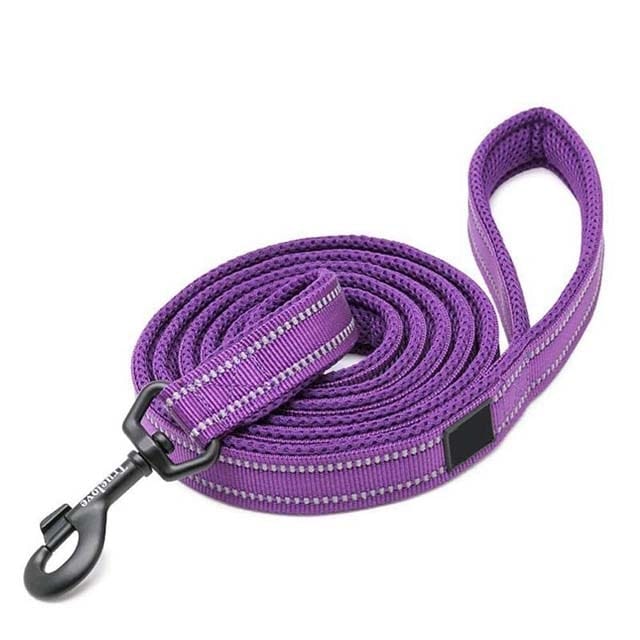 Adjustable Reflective Training Leash