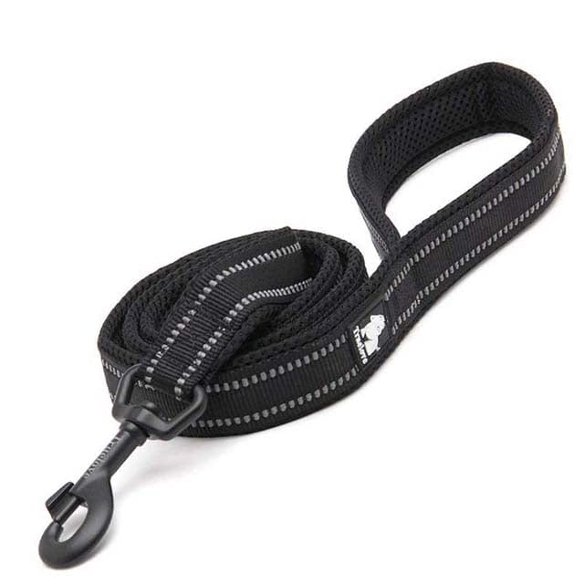 Adjustable Reflective Training Leash