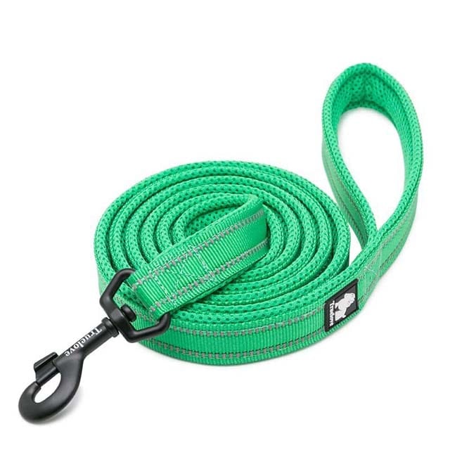 Adjustable Reflective Training Leash