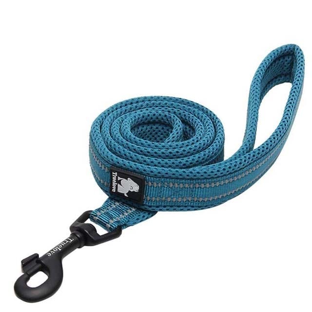 Adjustable Reflective Training Leash