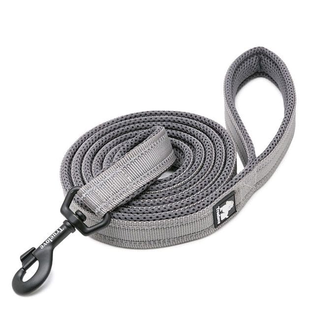 Adjustable Reflective Training Leash