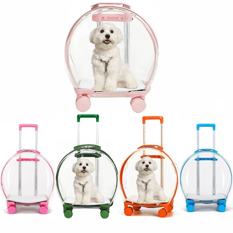 Transparent Pet Carrier