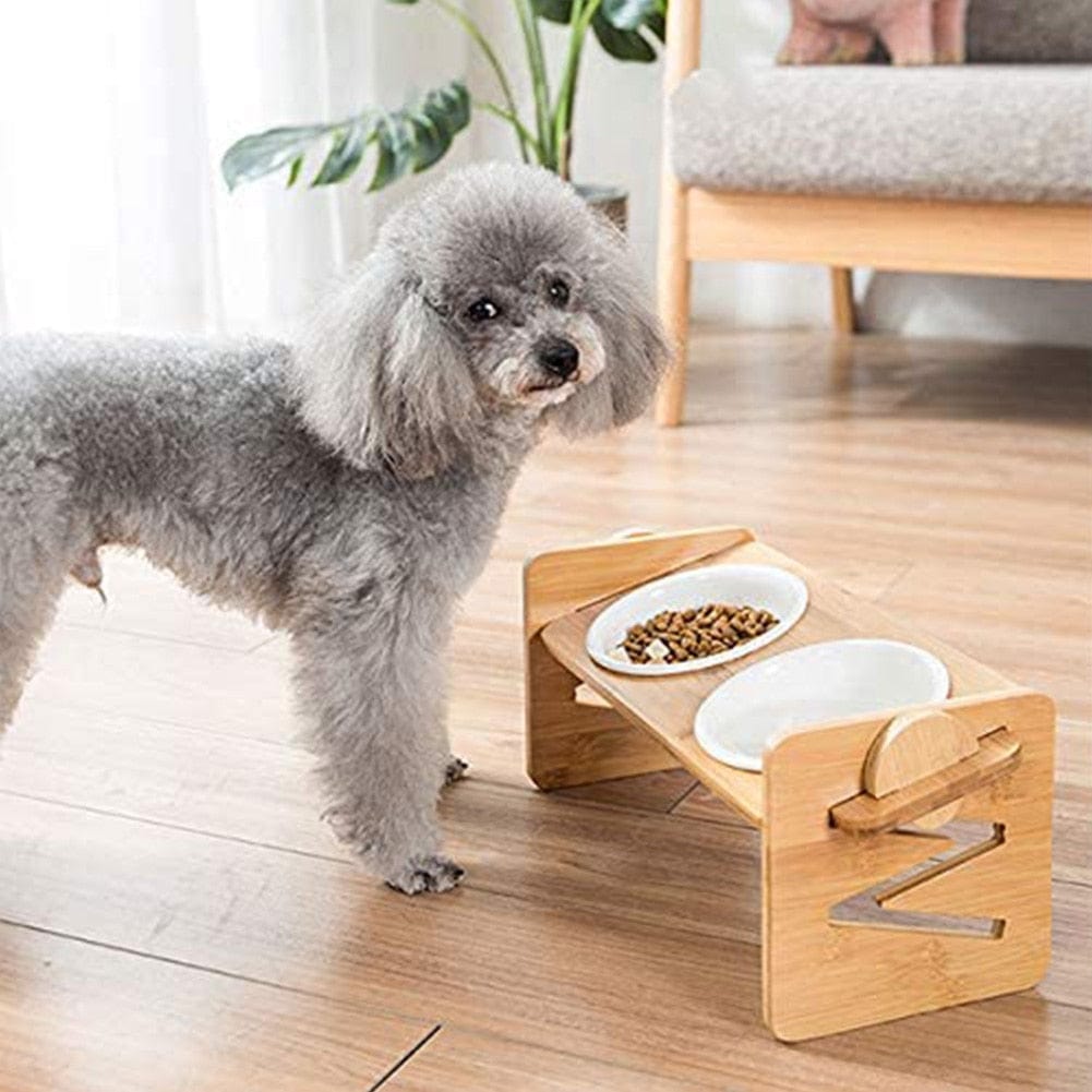 Elevated Pet Feeder Stand