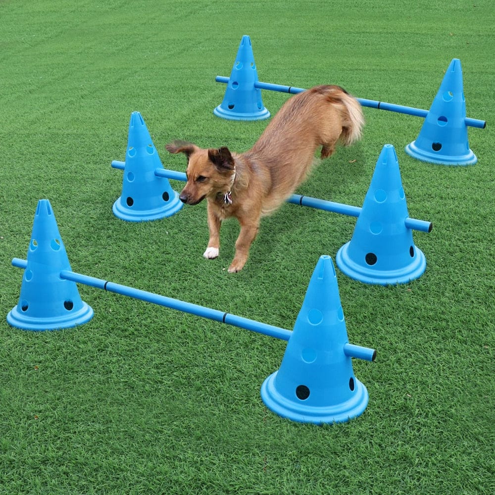 3 Set Dog Agility Training Equipment