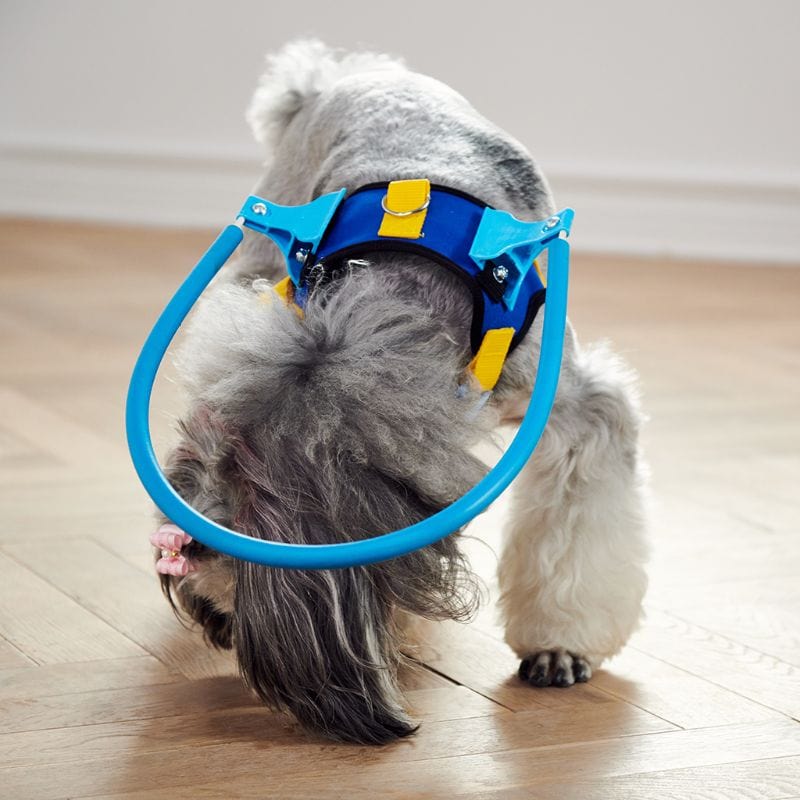 Anti-Collision Ring Safe Harness for Blind Dogs