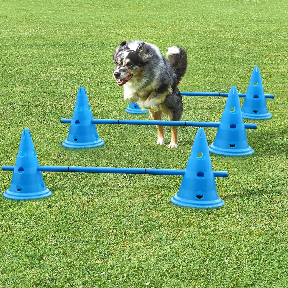 3 Set Dog Agility Training Equipment