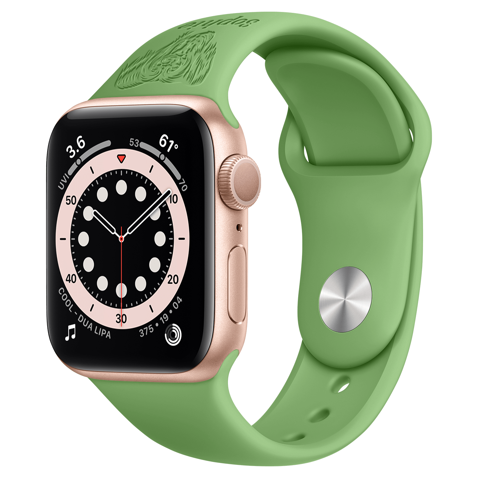 Custom Apple Watch Band