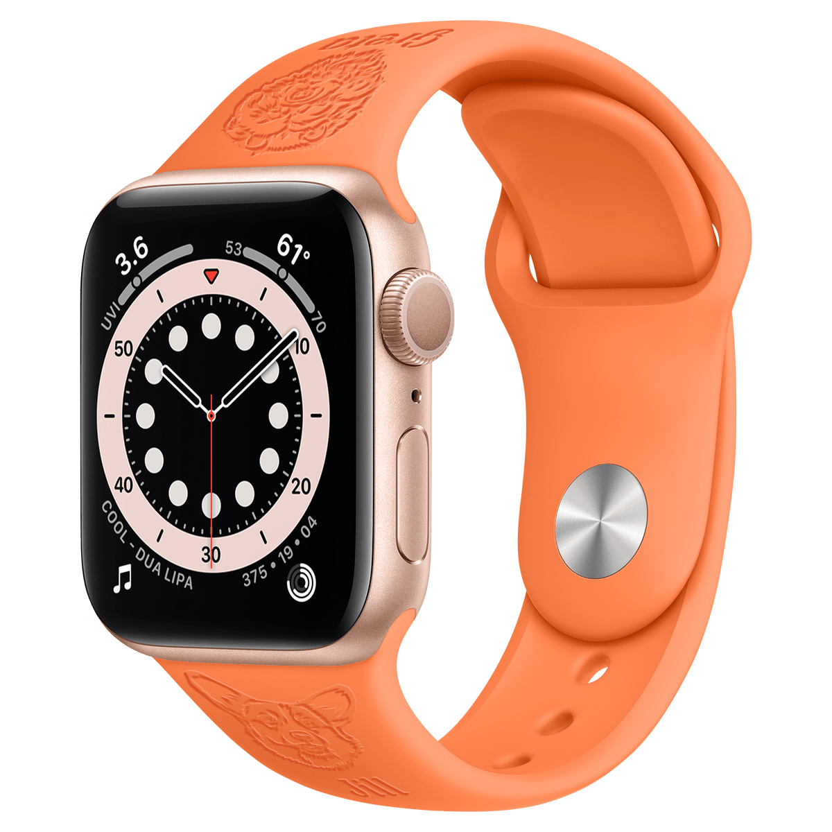 Custom Apple Watch Band