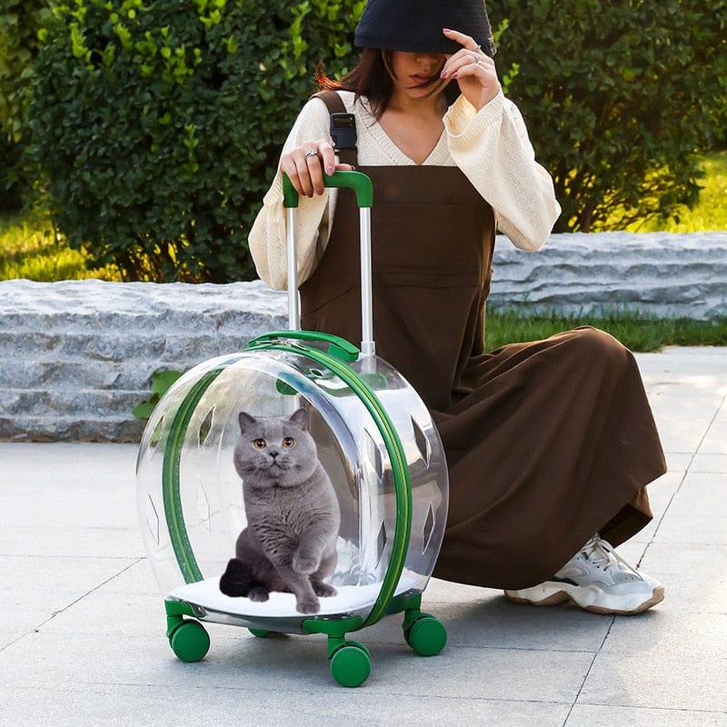 Transparent Pet Carrier