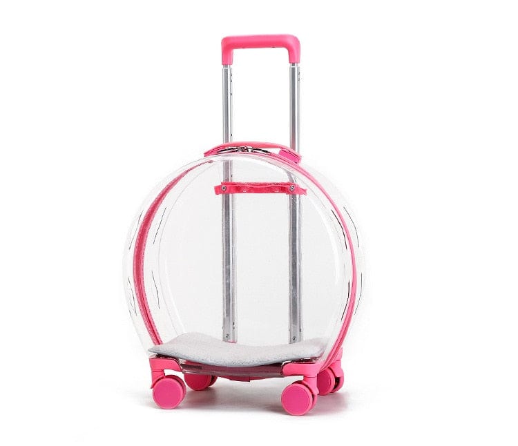 Transparent Pet Carrier