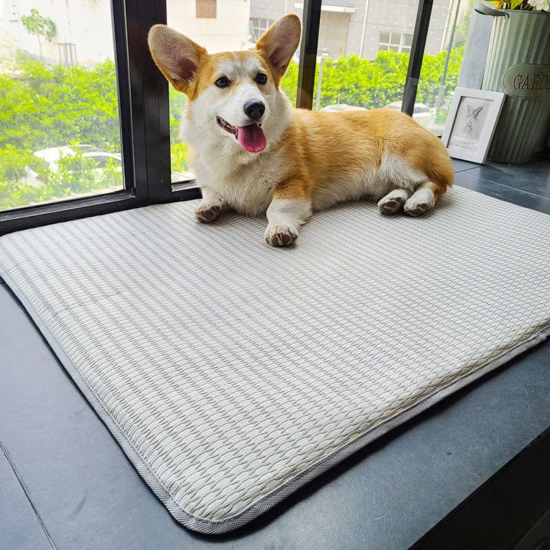 Double-Sided Cooling Pet Mats