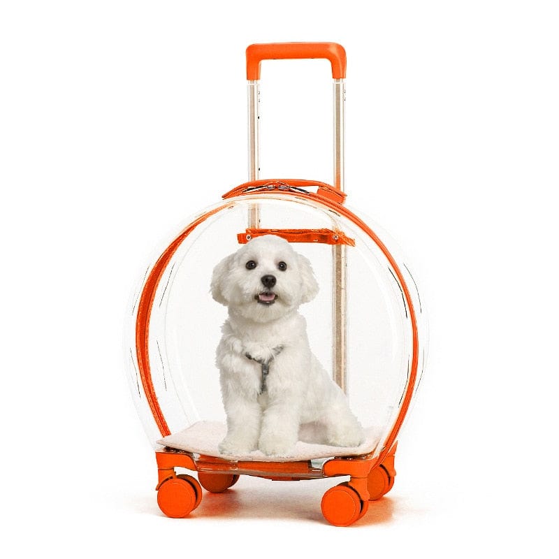 Transparent Pet Carrier