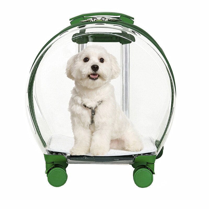 Transparent Pet Carrier