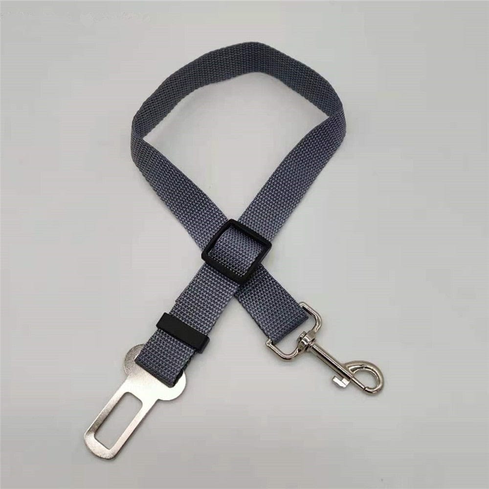 Adjustable Seat Belts