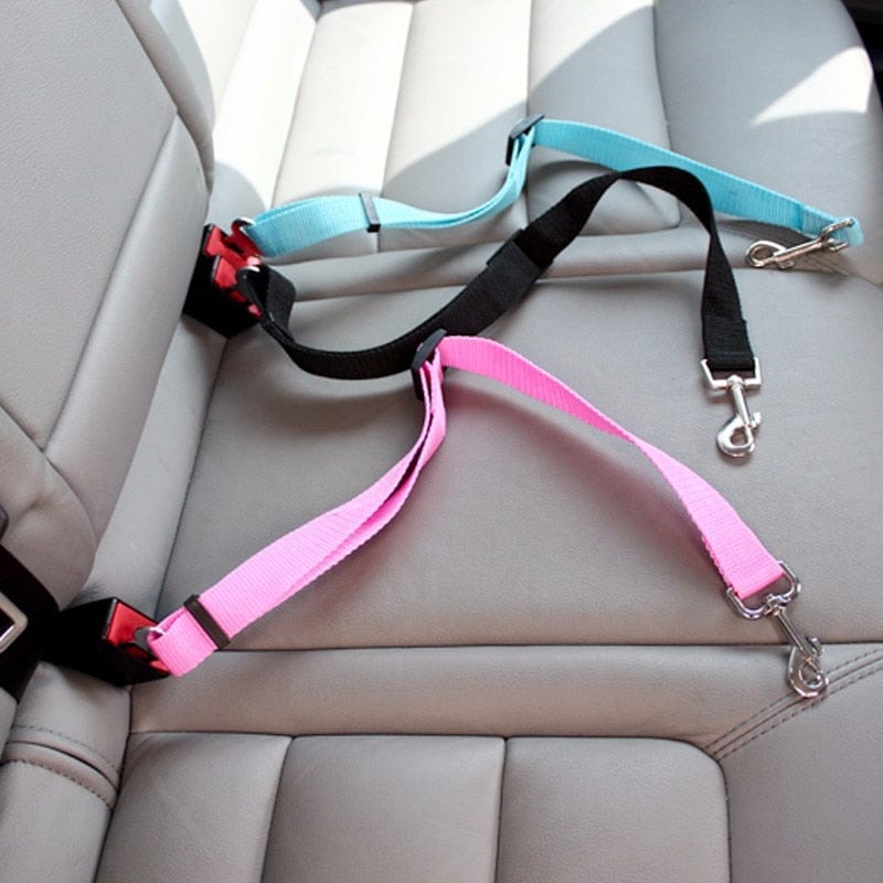 Adjustable Seat Belts