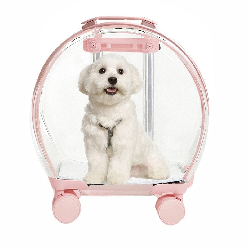 Transparent Pet Carrier