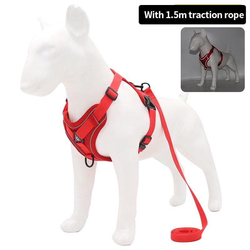Luminous Pet Leash Harness With Safety Reflective Strip
