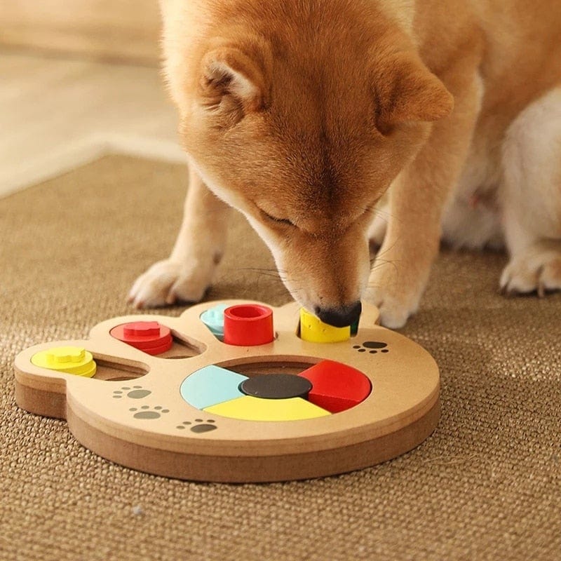 IQ Interactive Slow Dispensing Training Games