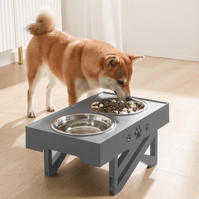 Double Non-Slip Adjustable Height Feeder