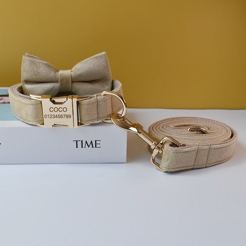 Big Bow Tie Velvet Collar & Leash Set