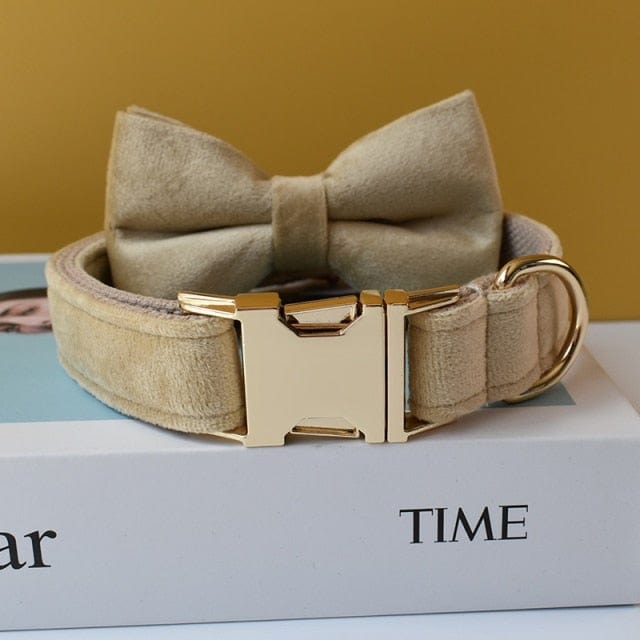 Big Bow Tie Velvet Collar & Leash Set